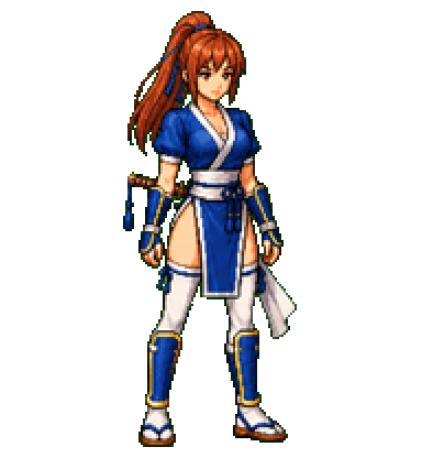 Kasumi Codex pet